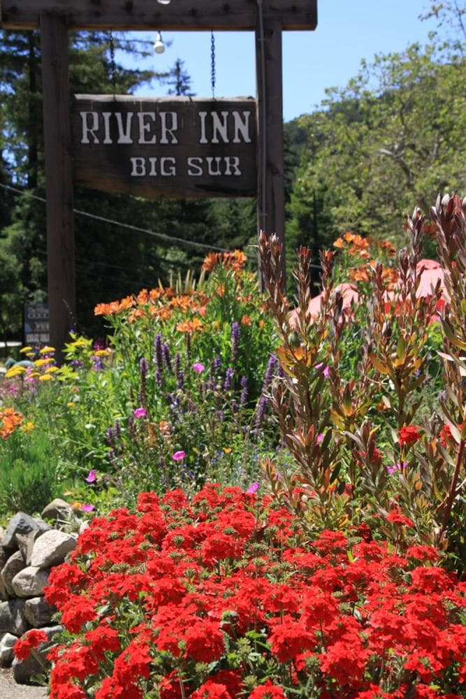 Big Sur River Inn