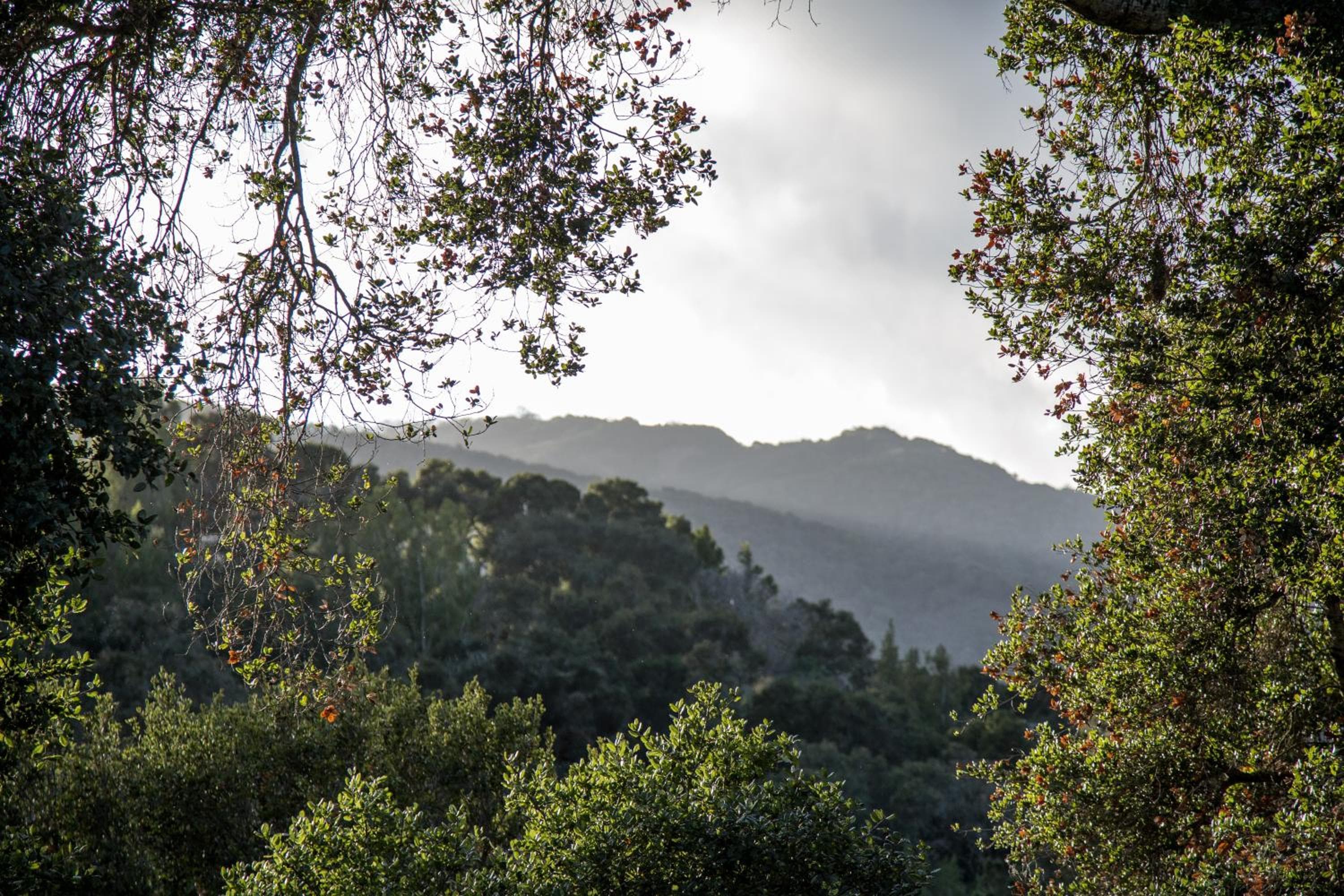 Hidden Valley Inn