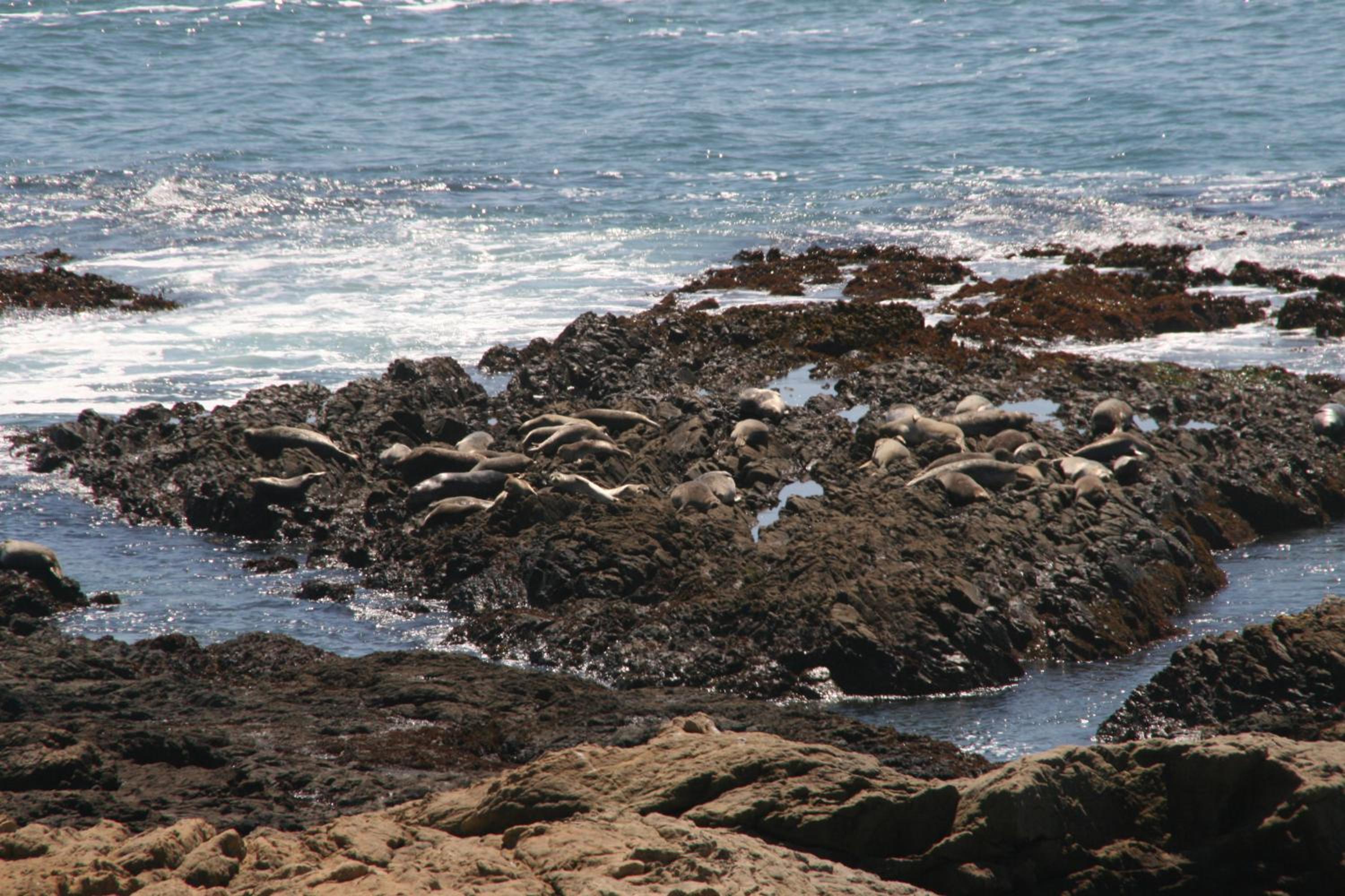Oceanfront Inn at Shelter Cove