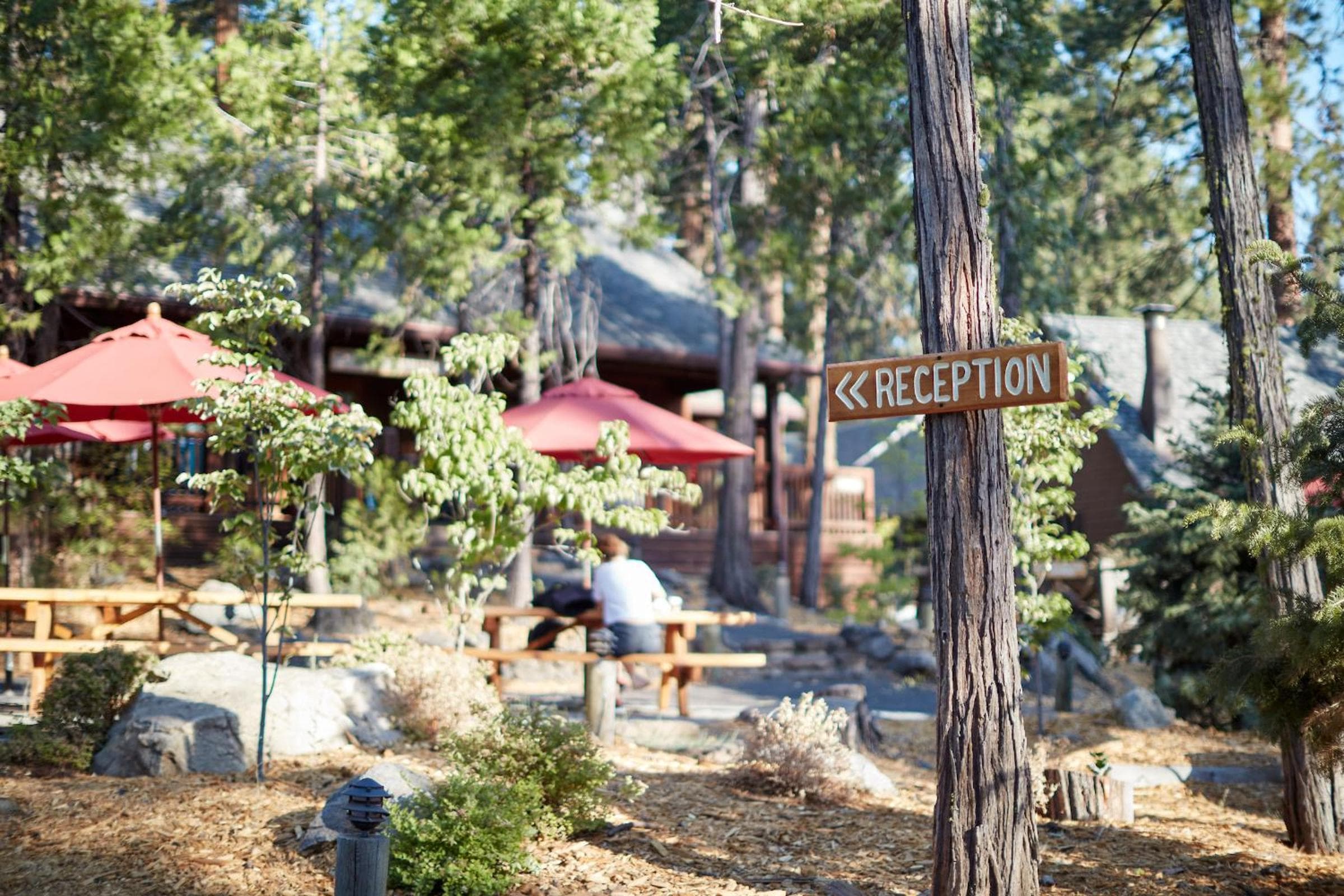 Evergreen Lodge at Yosemite