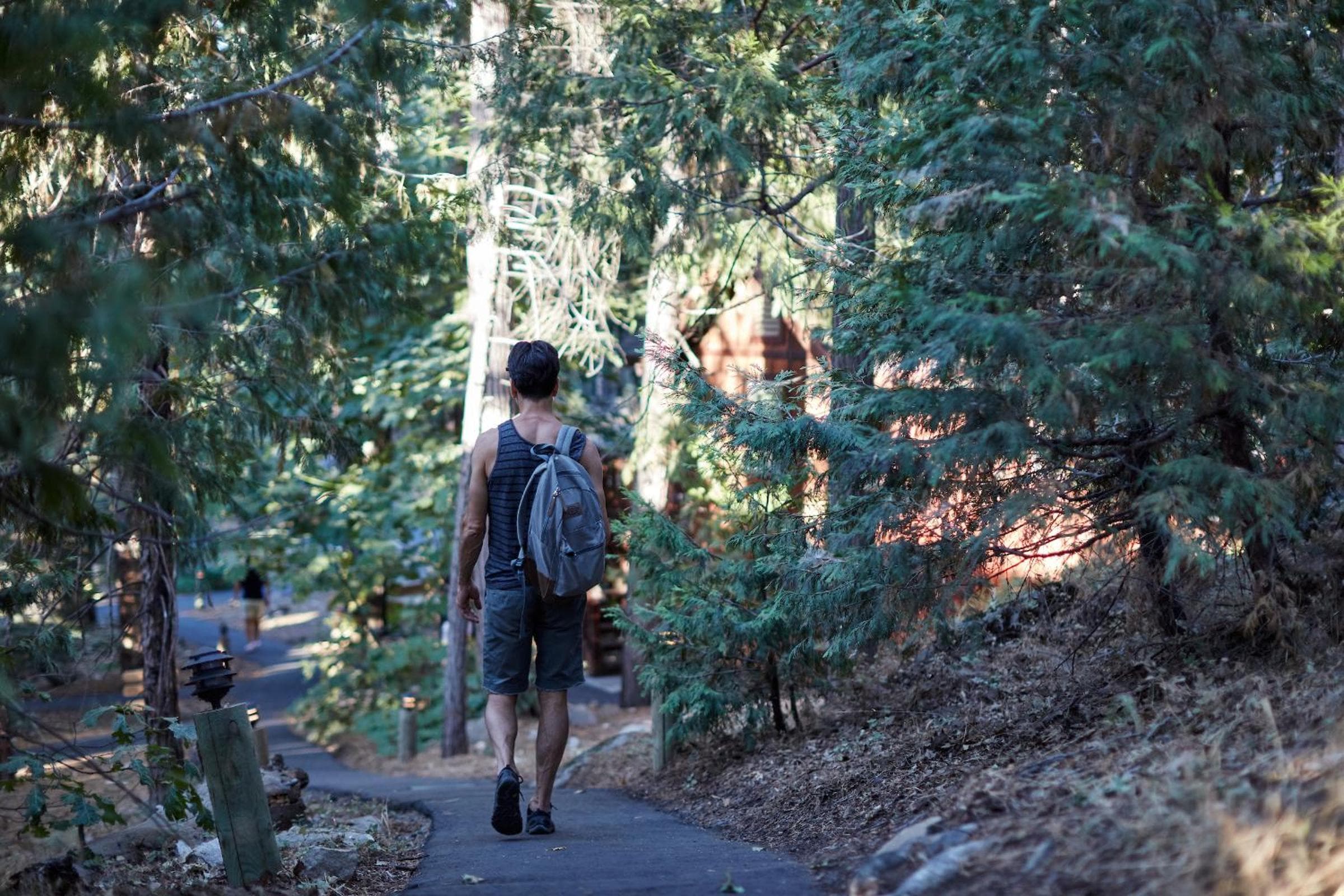 Evergreen Lodge at Yosemite