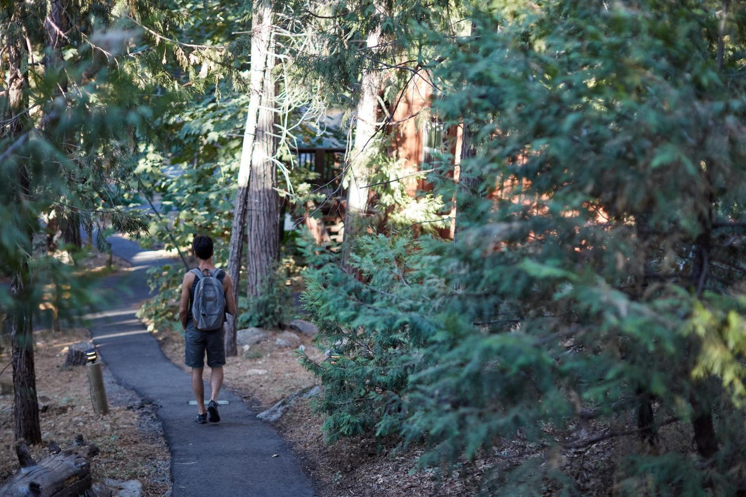 Evergreen Lodge at Yosemite