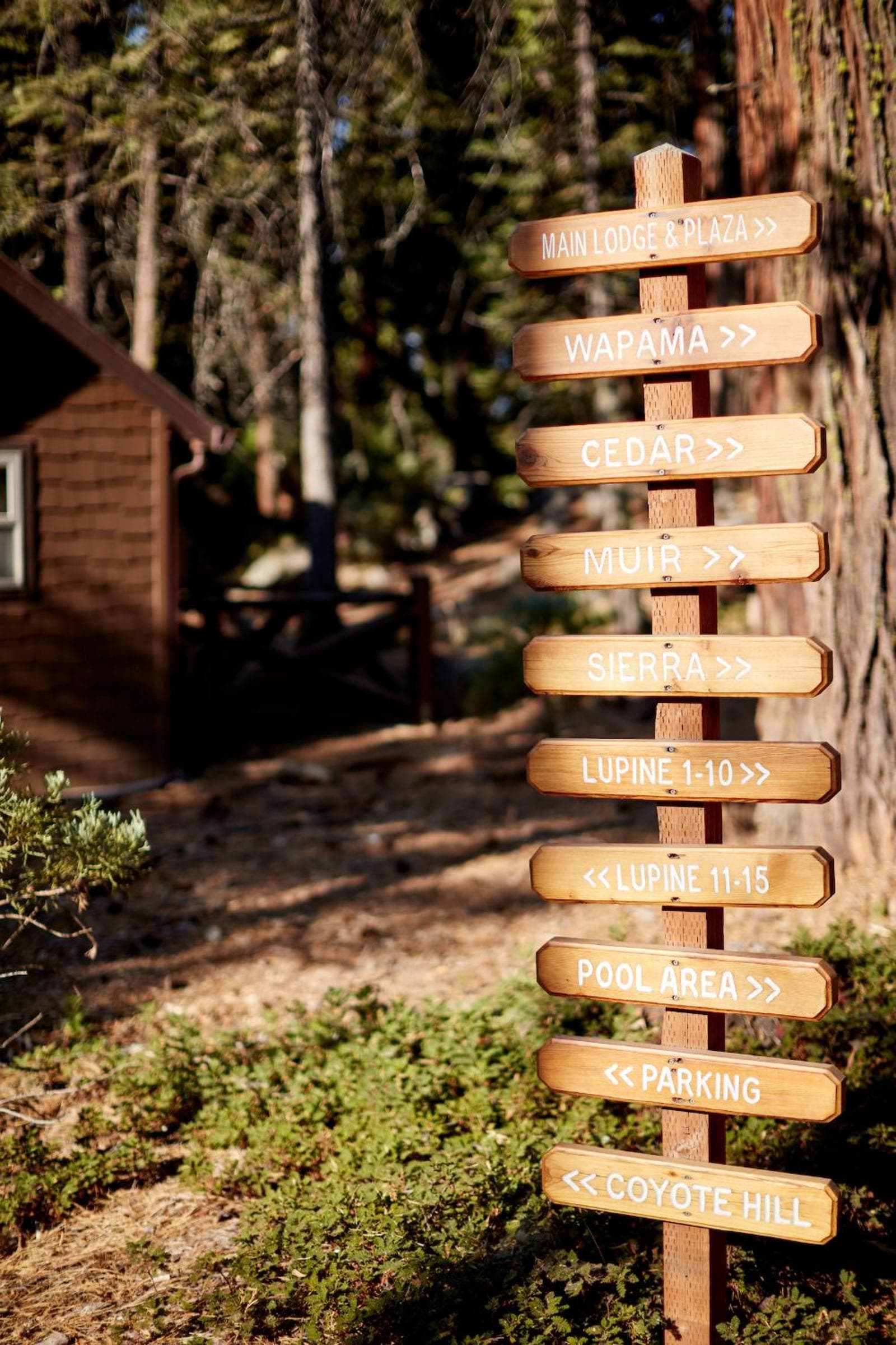 Evergreen Lodge at Yosemite