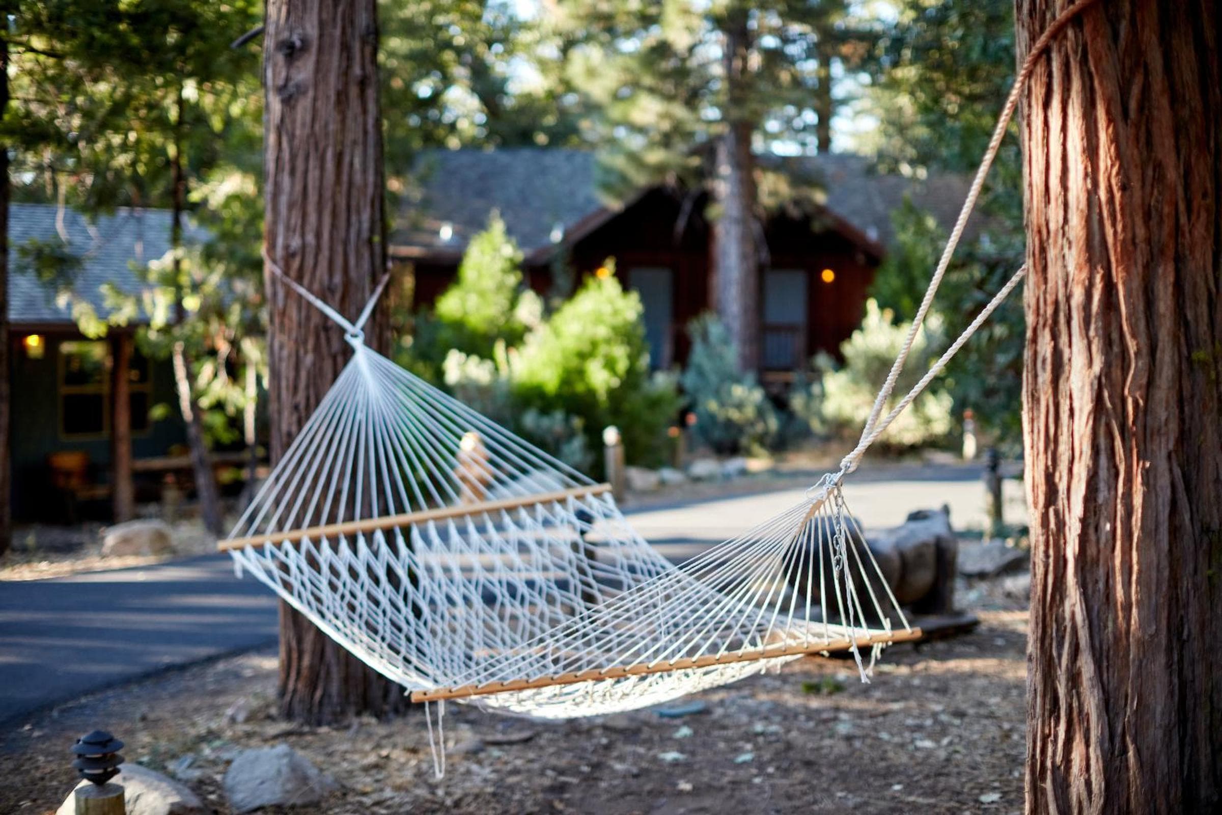 Evergreen Lodge at Yosemite