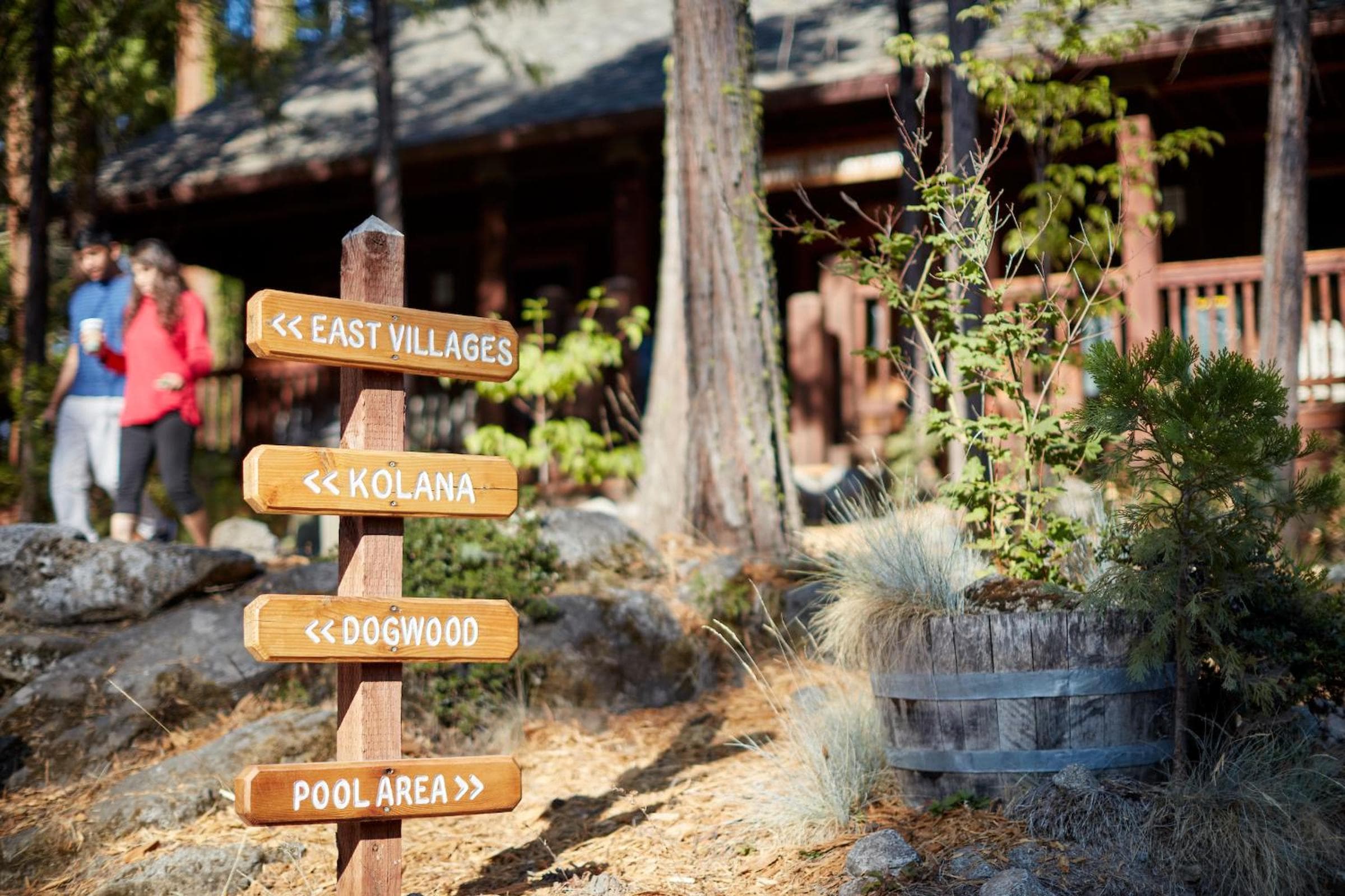 Evergreen Lodge at Yosemite