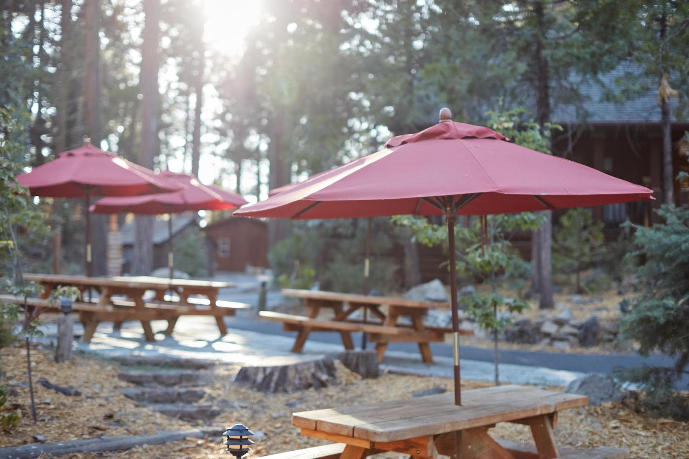 Evergreen Lodge at Yosemite