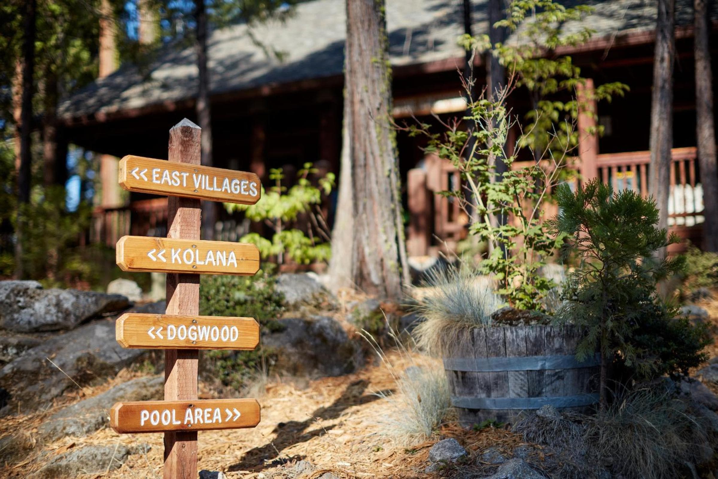 Evergreen Lodge at Yosemite