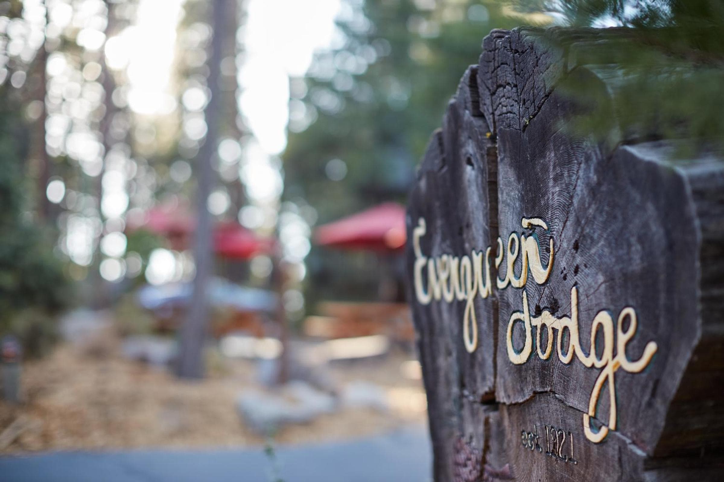 Evergreen Lodge at Yosemite