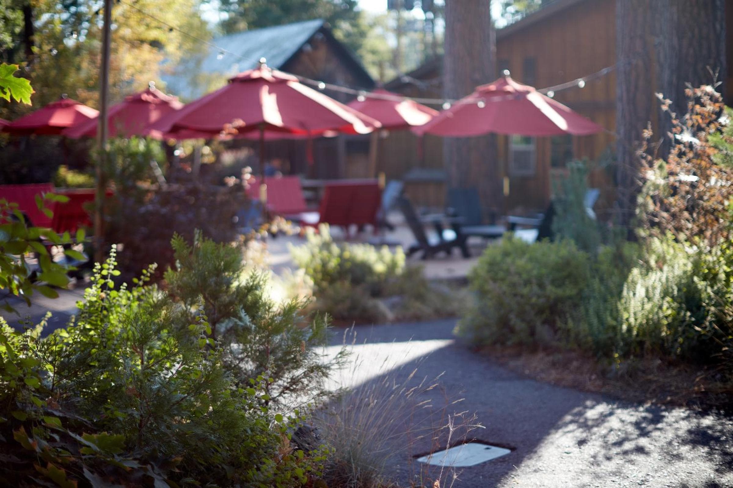 Evergreen Lodge at Yosemite