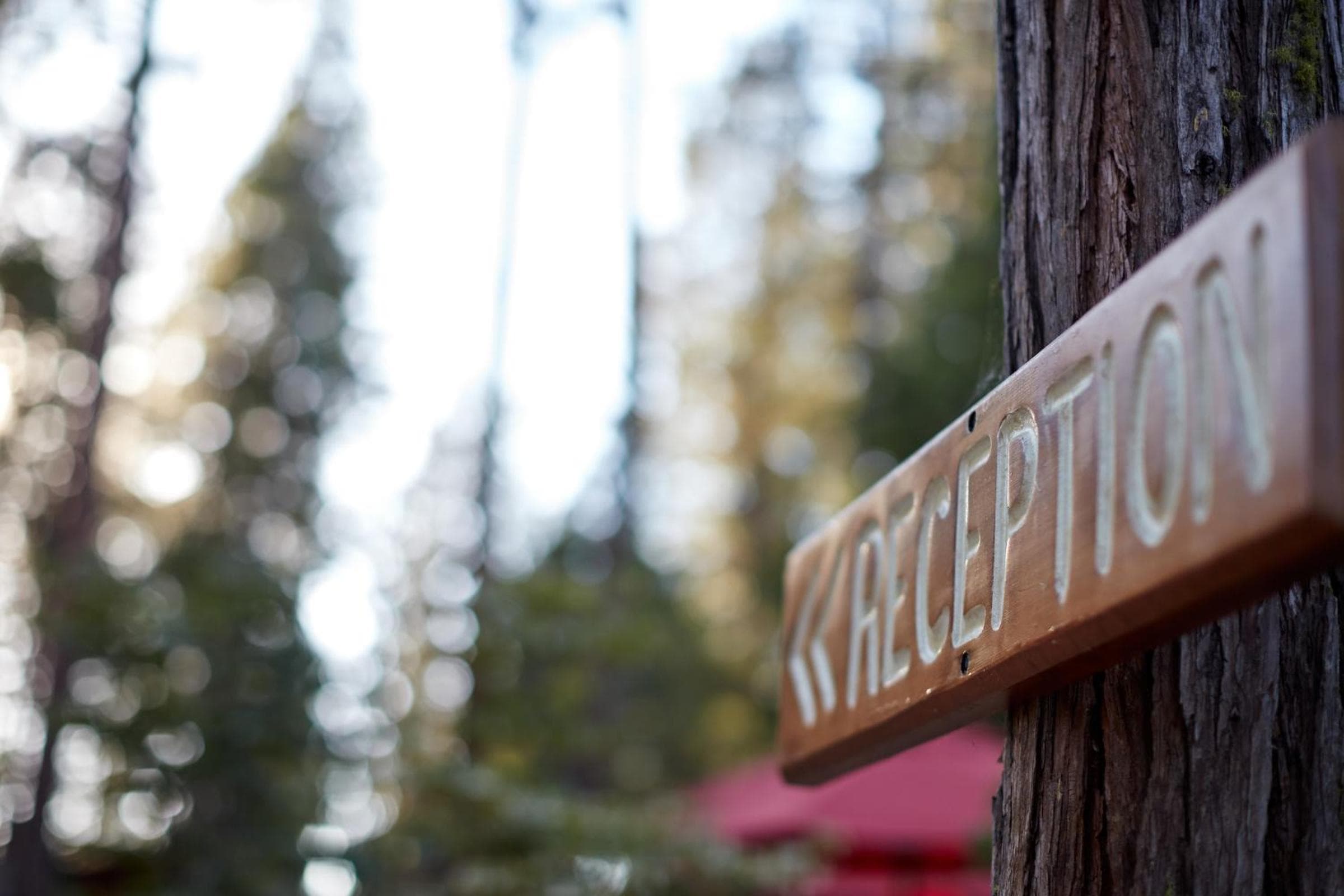 Evergreen Lodge at Yosemite