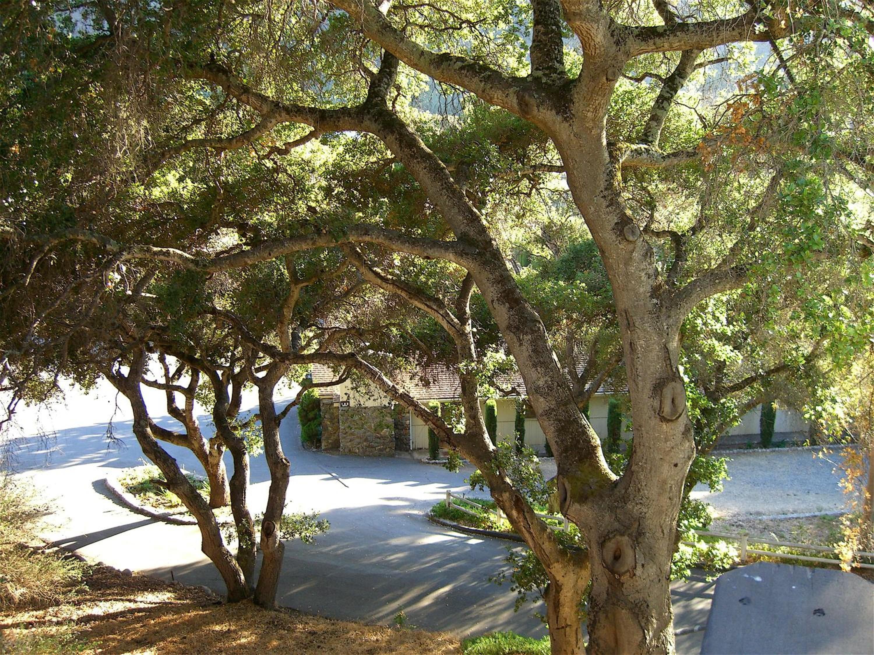 Hidden Valley Inn