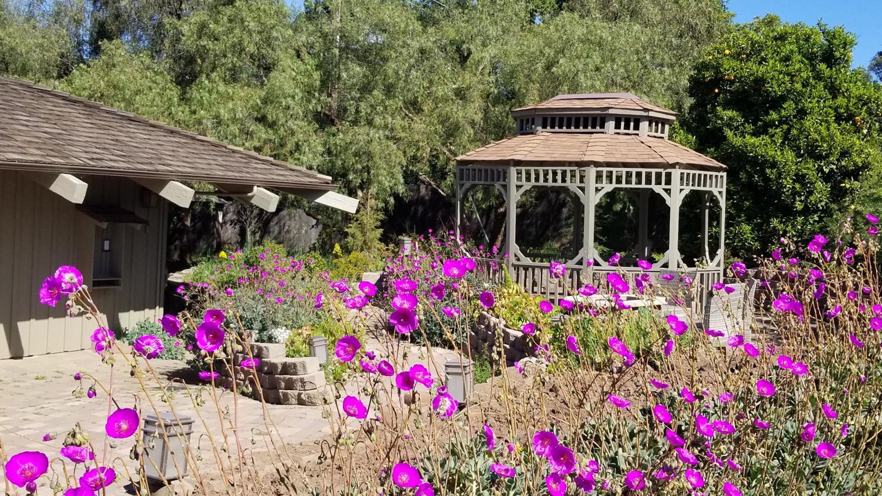 Carmel Valley Lodge