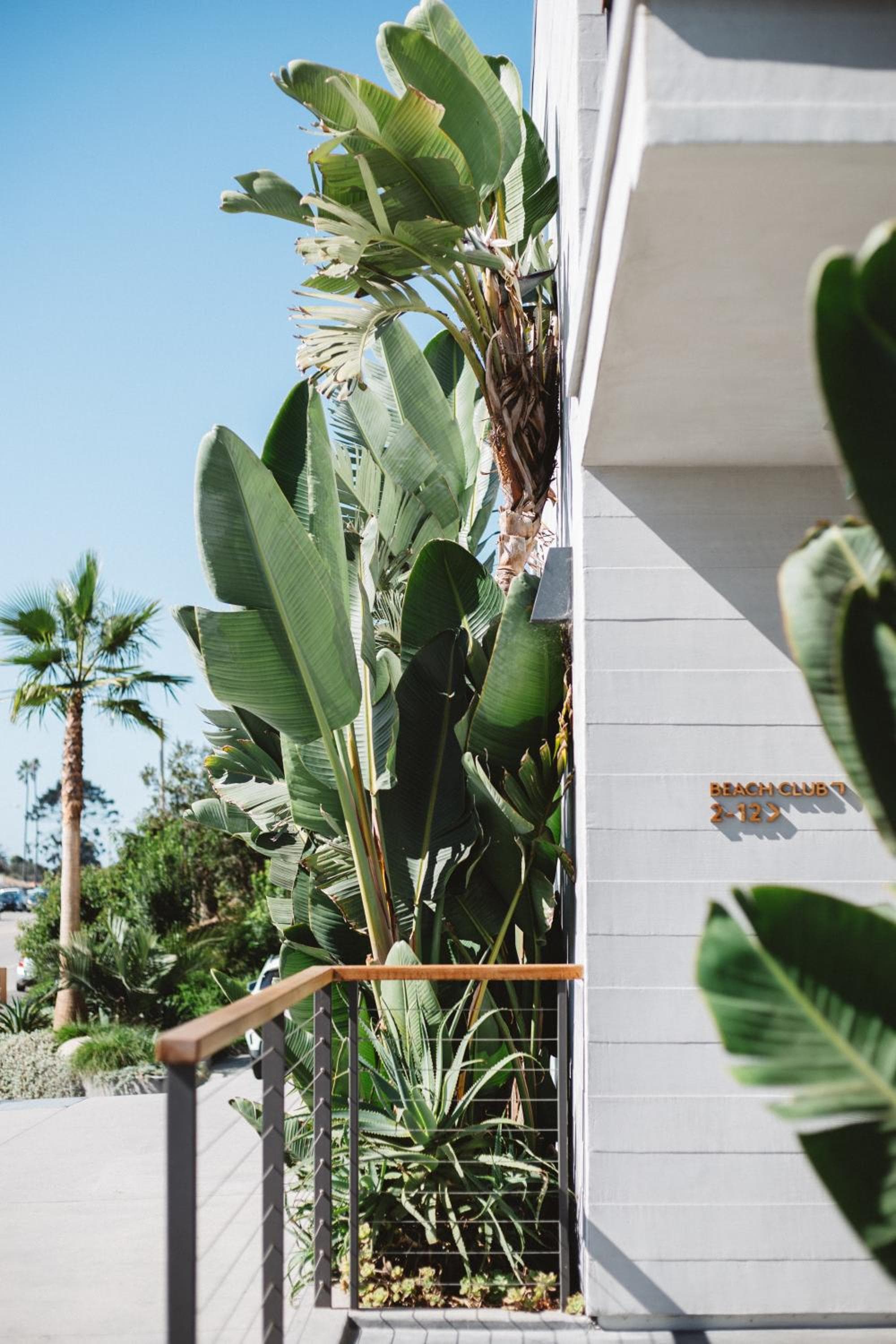 The Surfrider Hotel