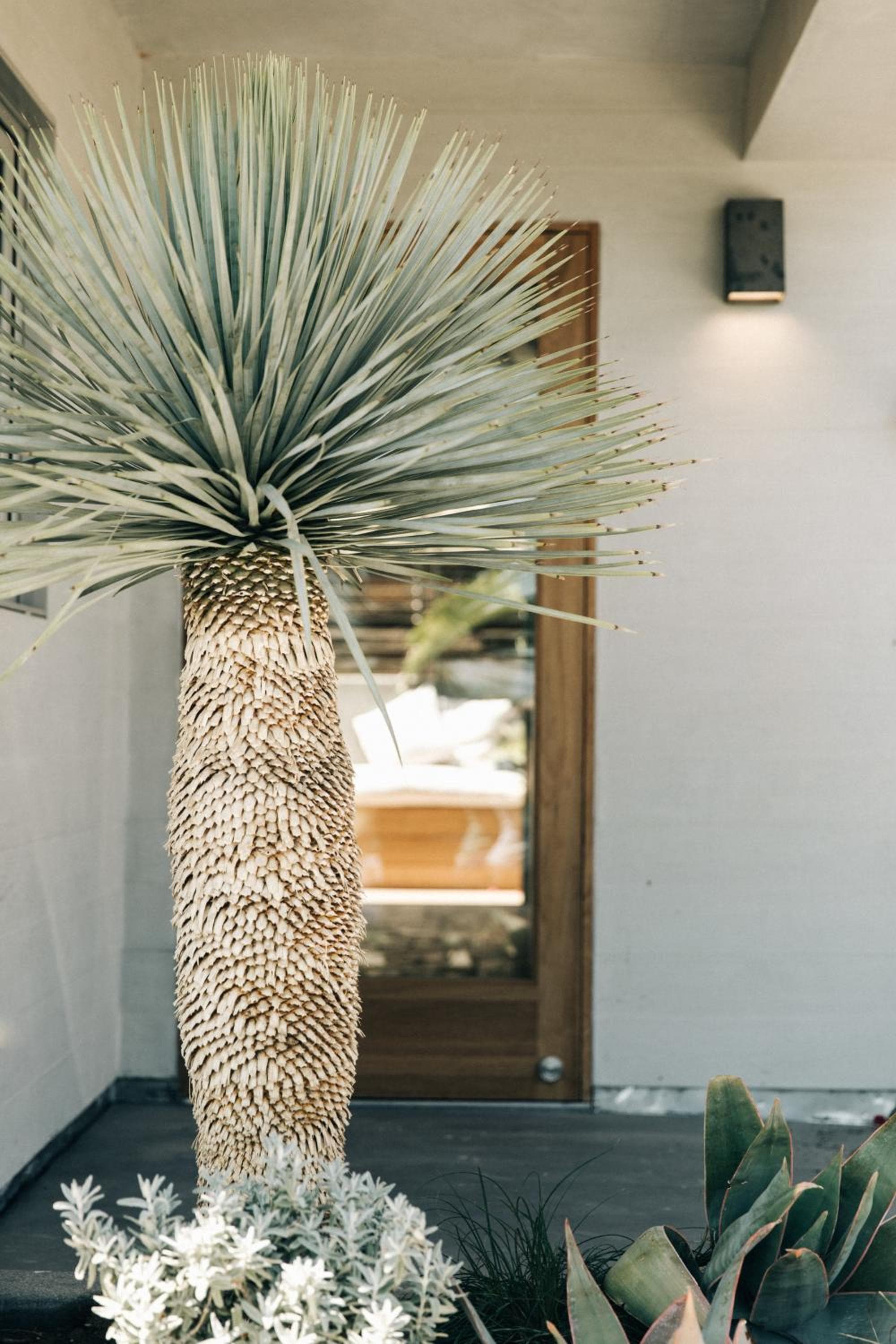 The Surfrider Hotel