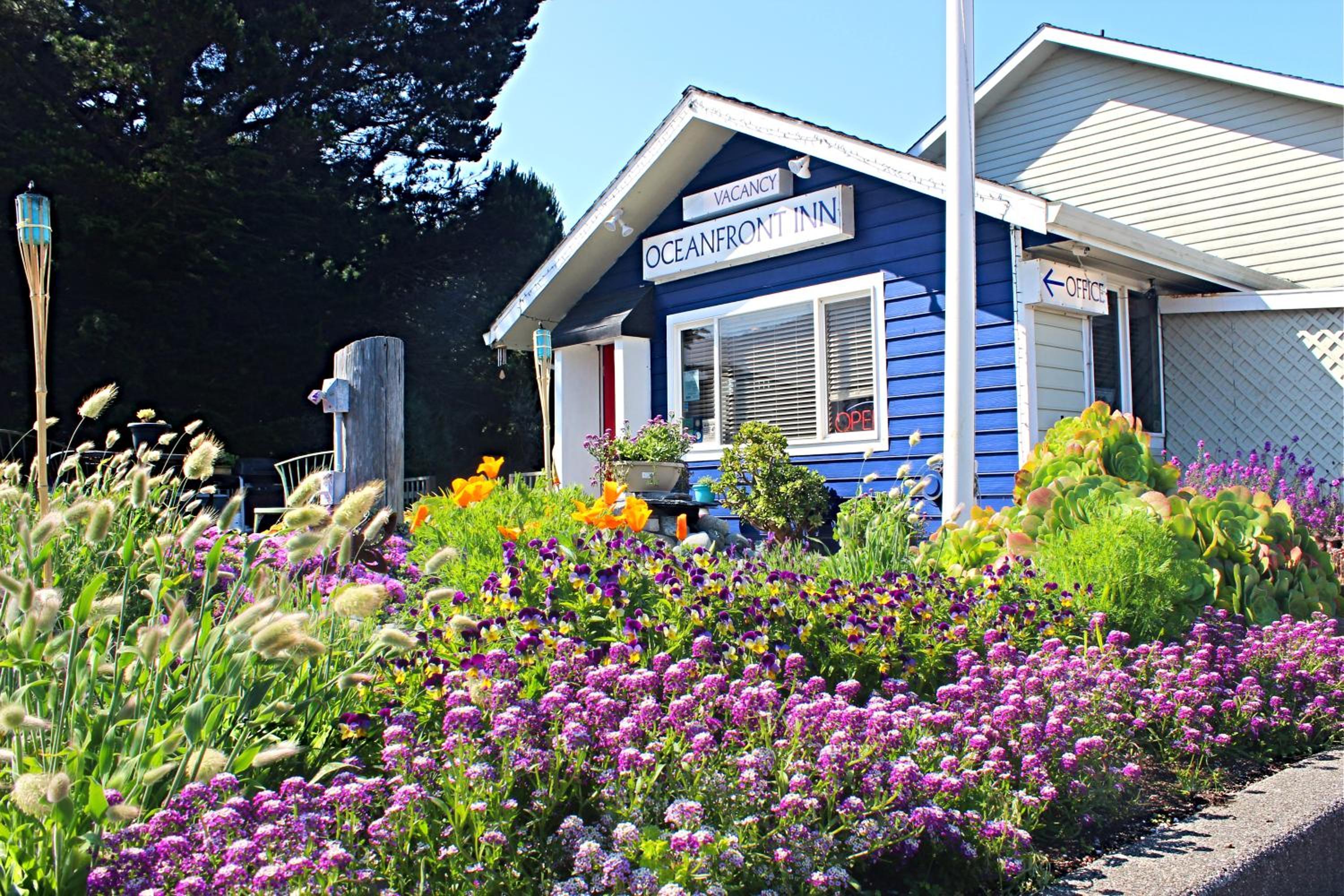 Oceanfront Inn at Shelter Cove