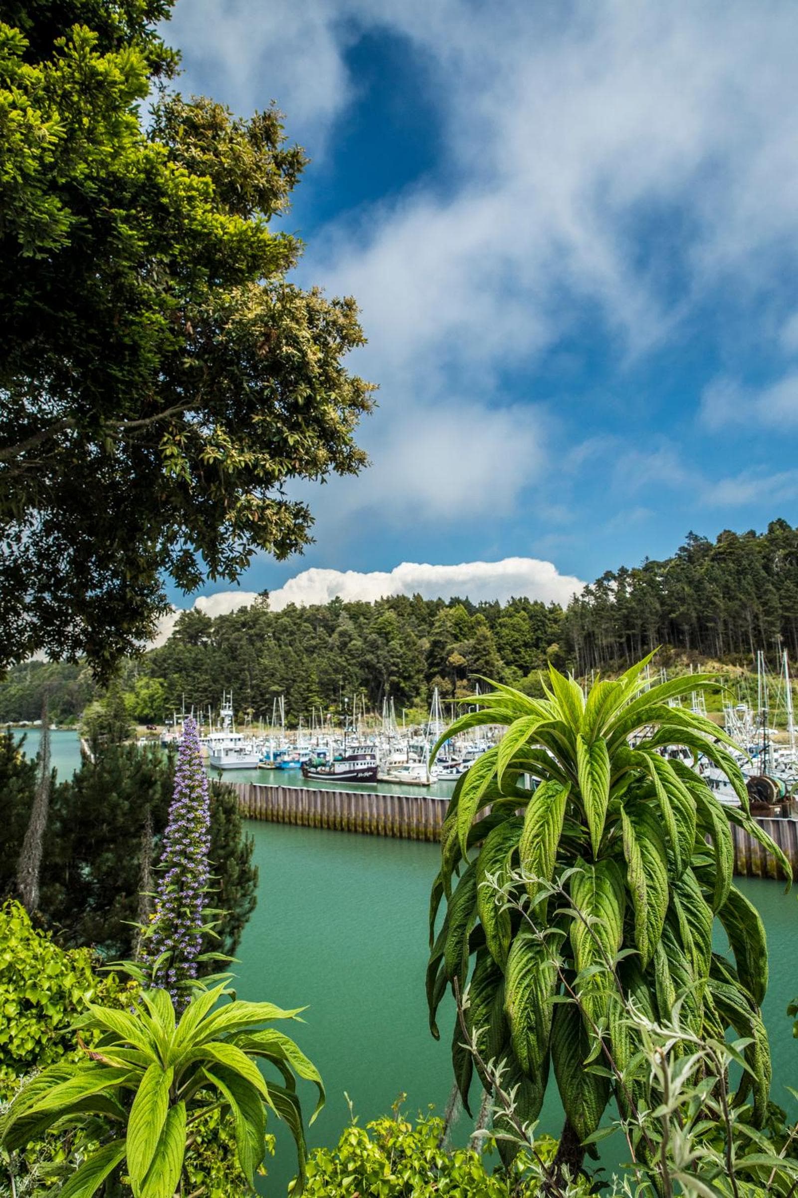 Noyo Harbor Inn