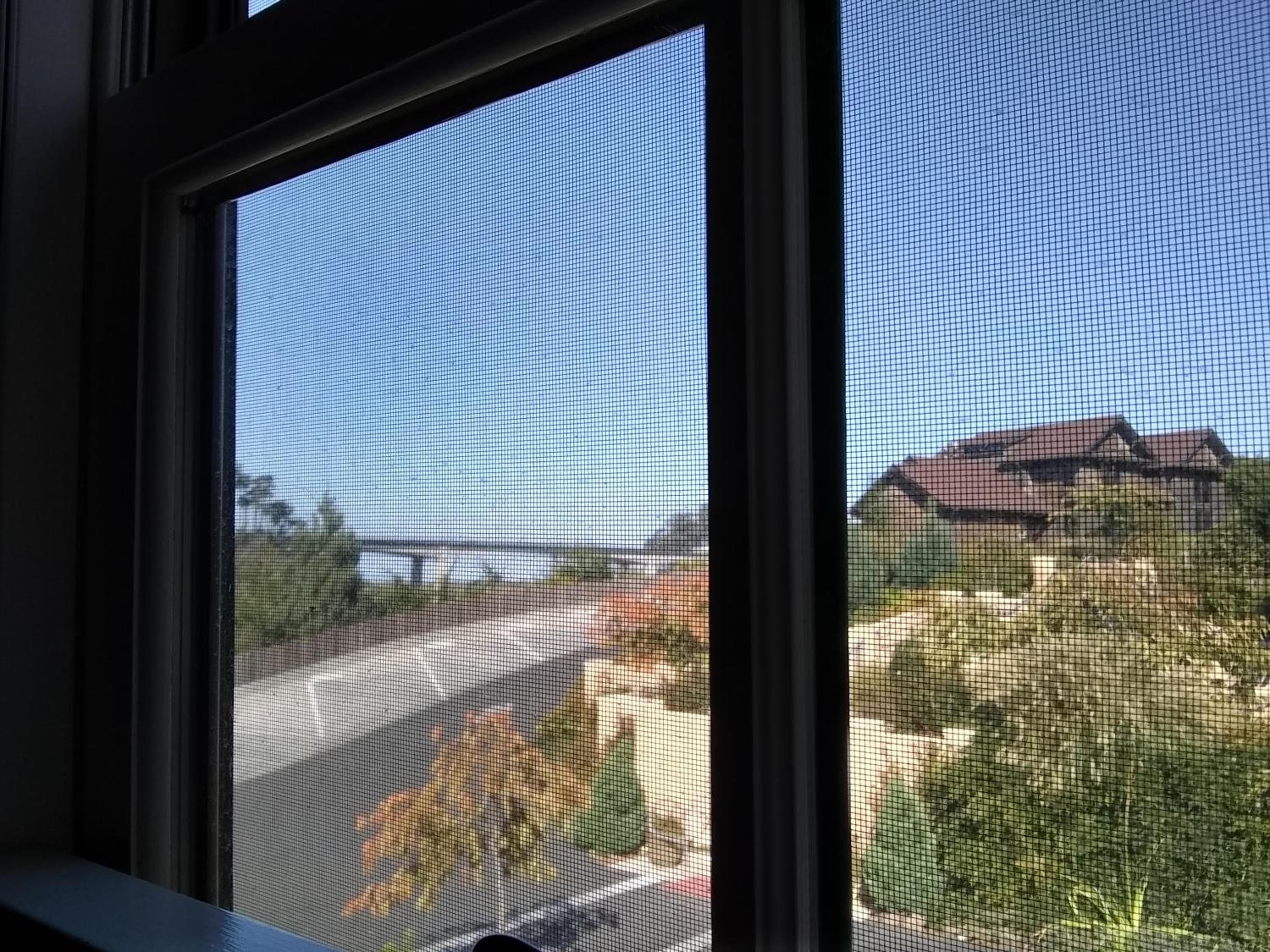 Noyo Harbor Inn