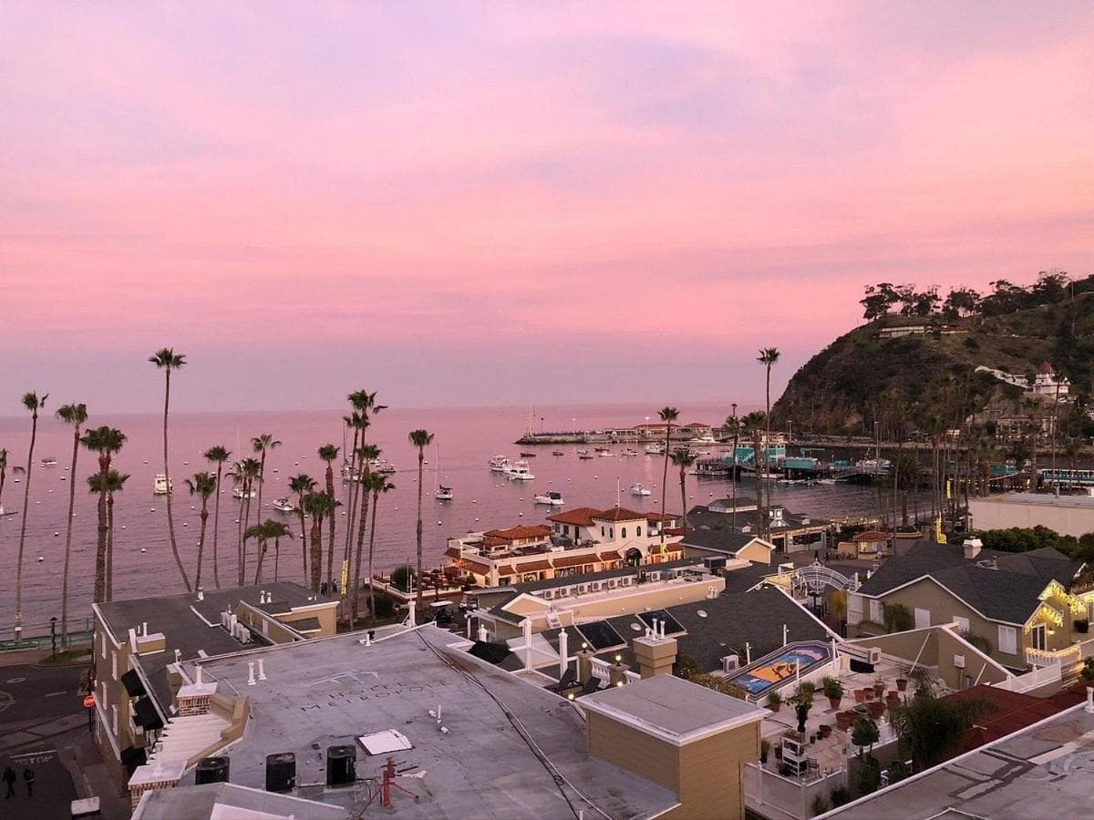 The Avalon Hotel