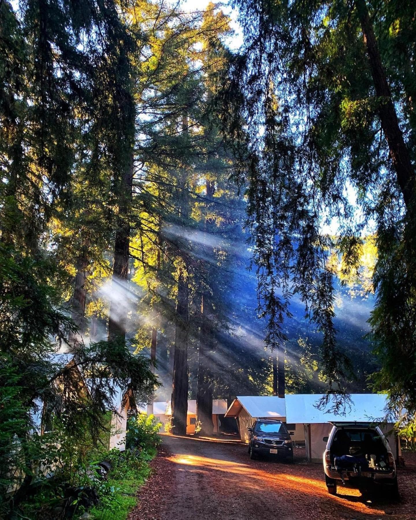Fernwood Resort & Campground
