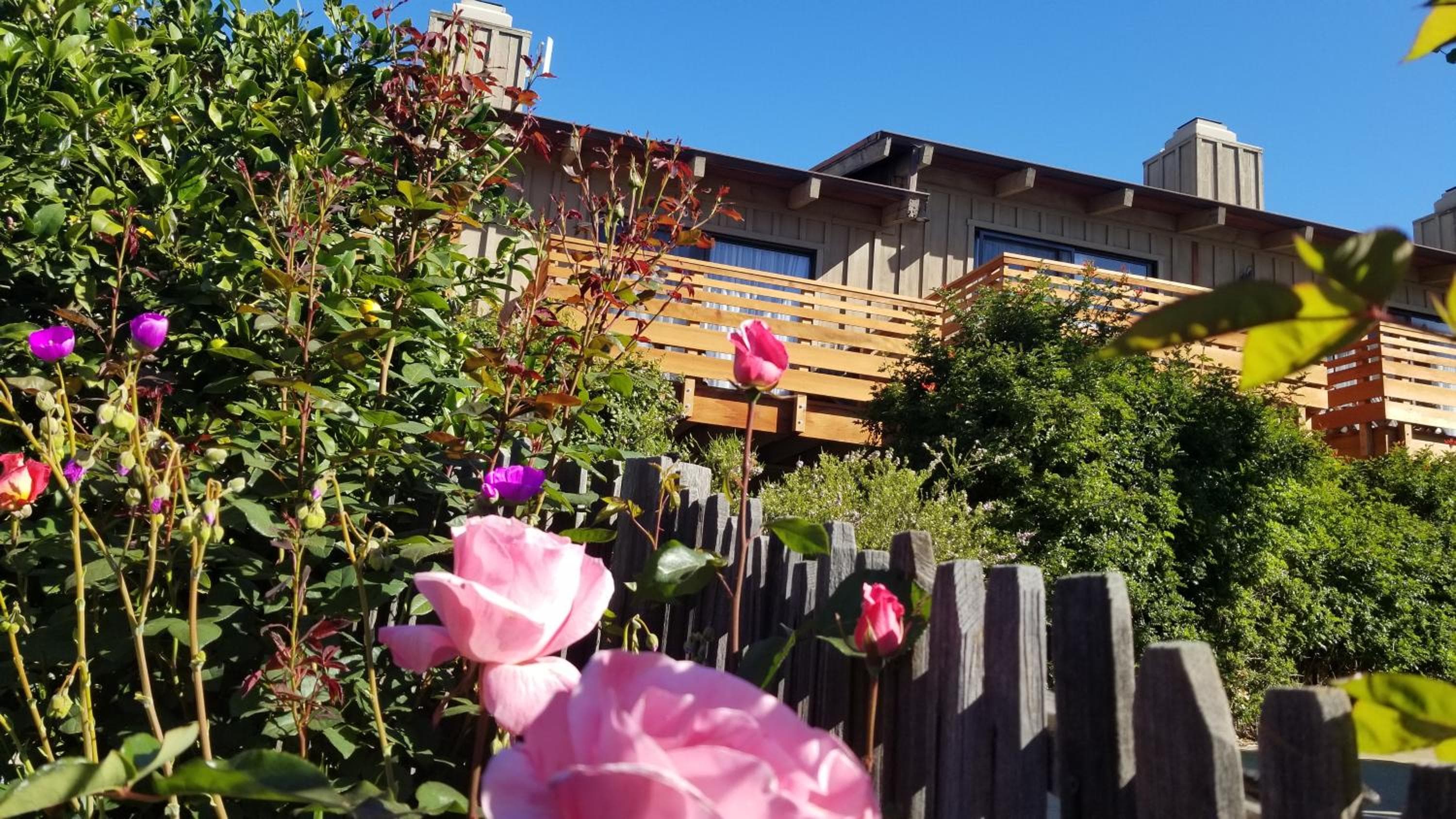Carmel Valley Lodge