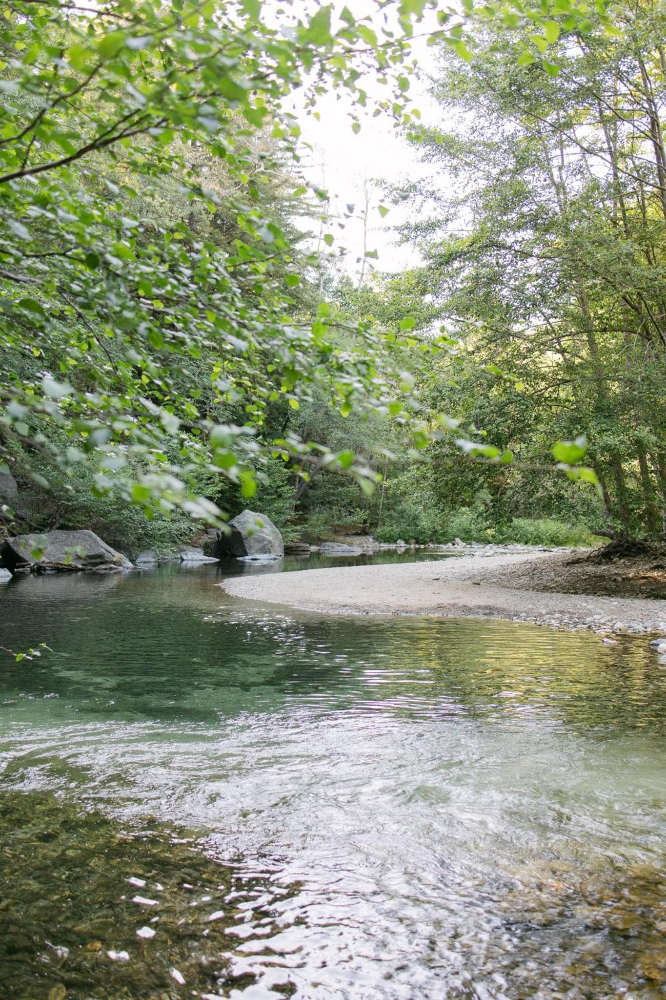 Fernwood Resort & Campground