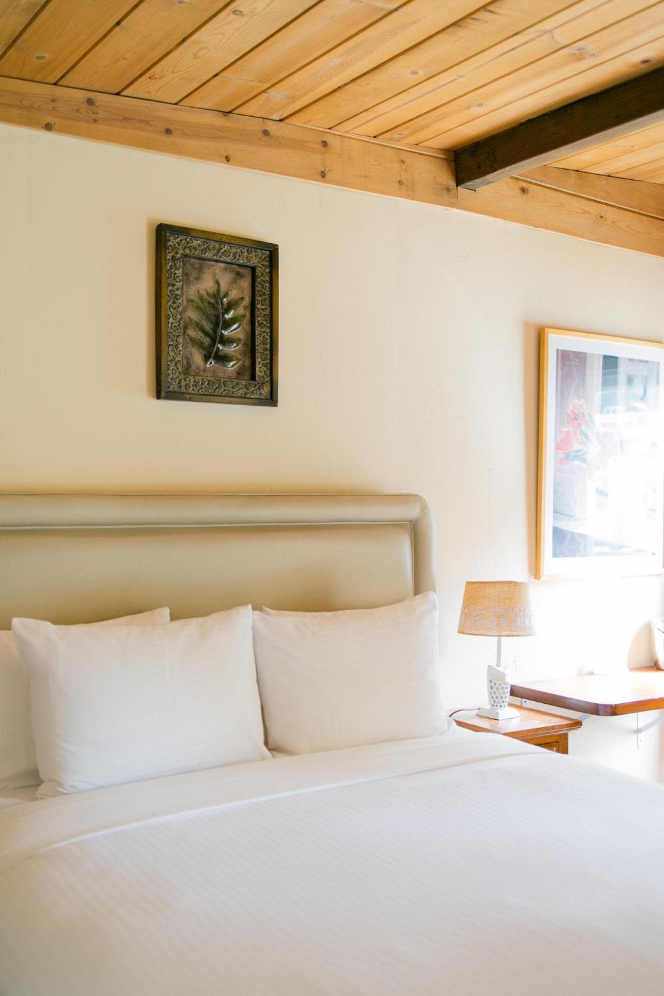 Fernwood Resort & Campground