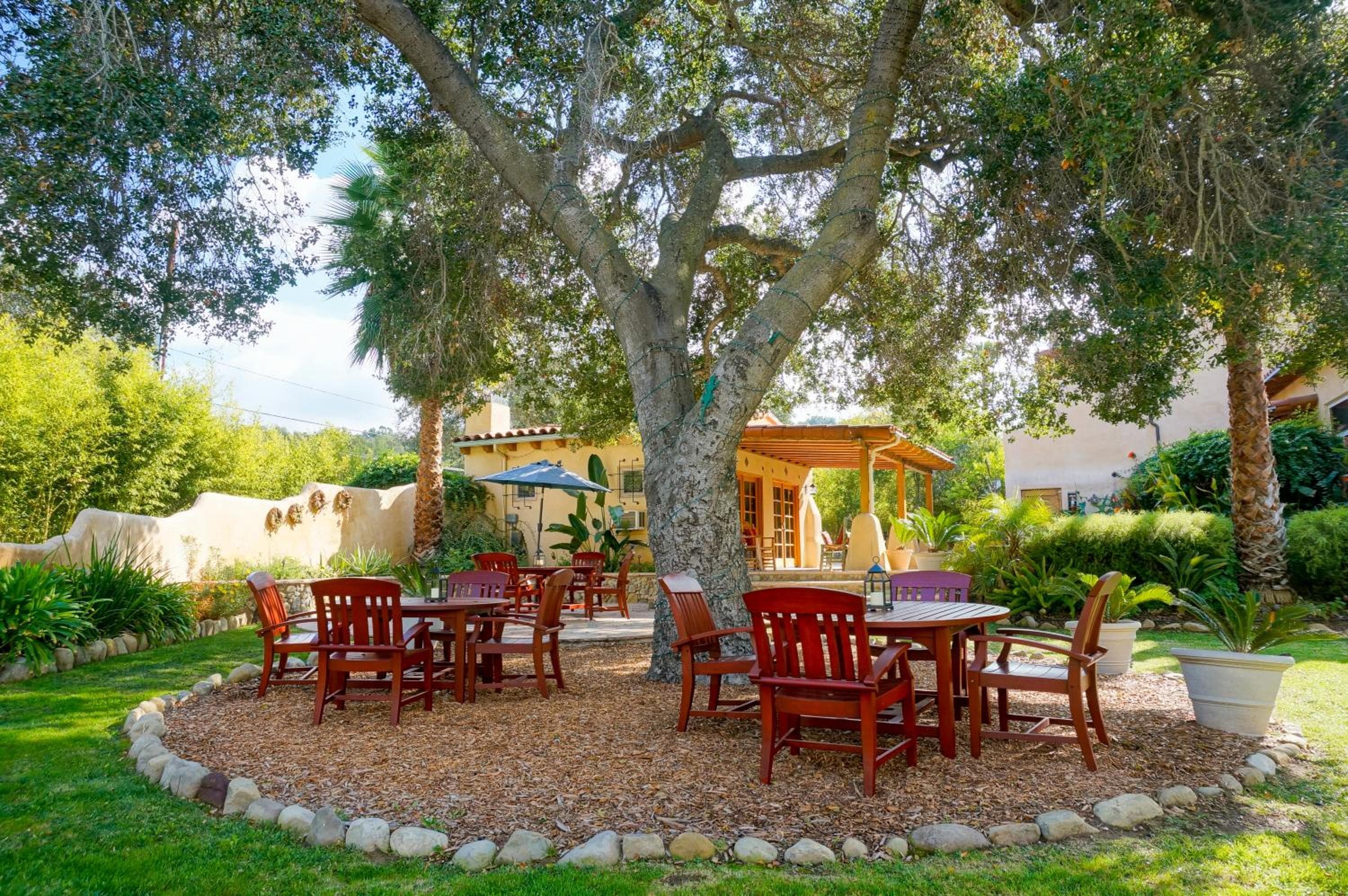Blue Iguana Inn