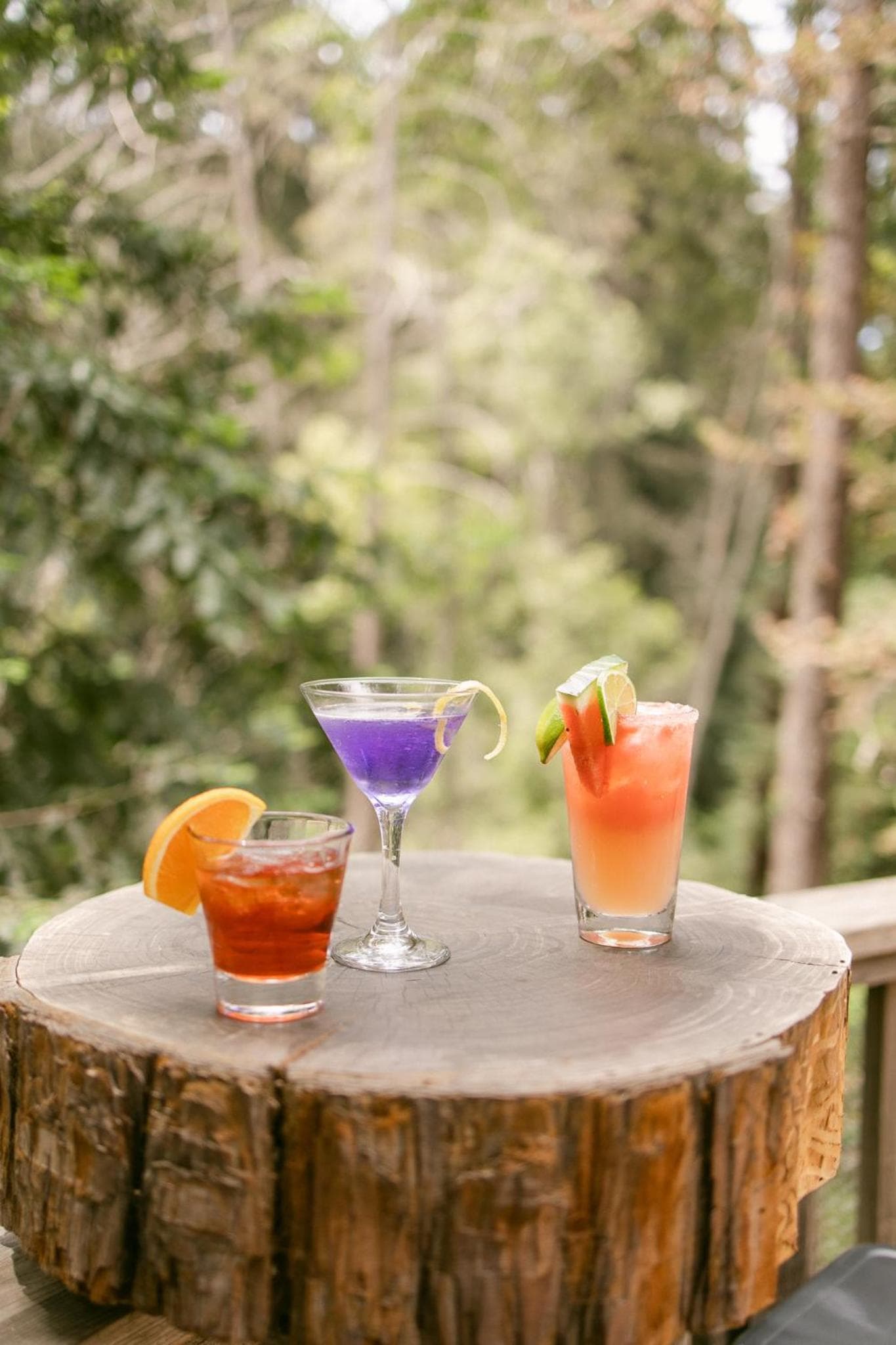 Fernwood Resort & Campground