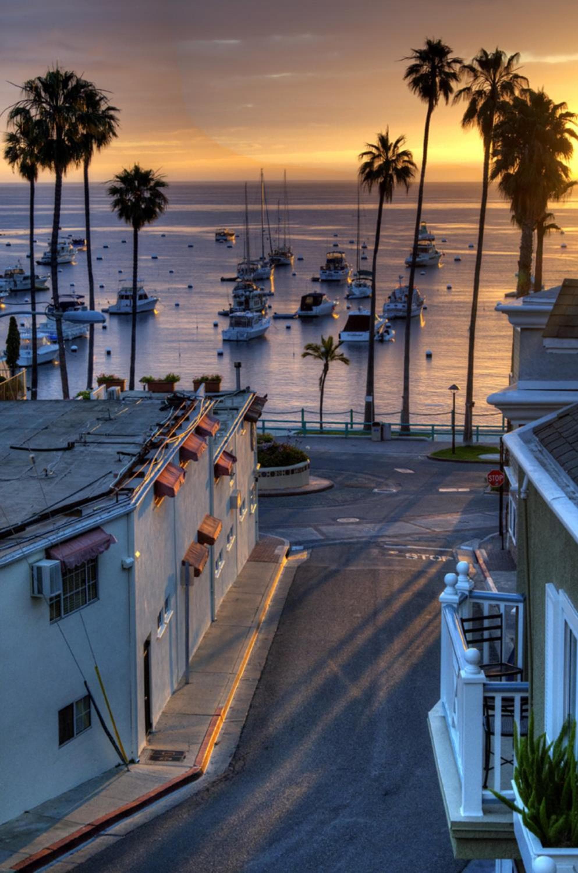 The Avalon Hotel