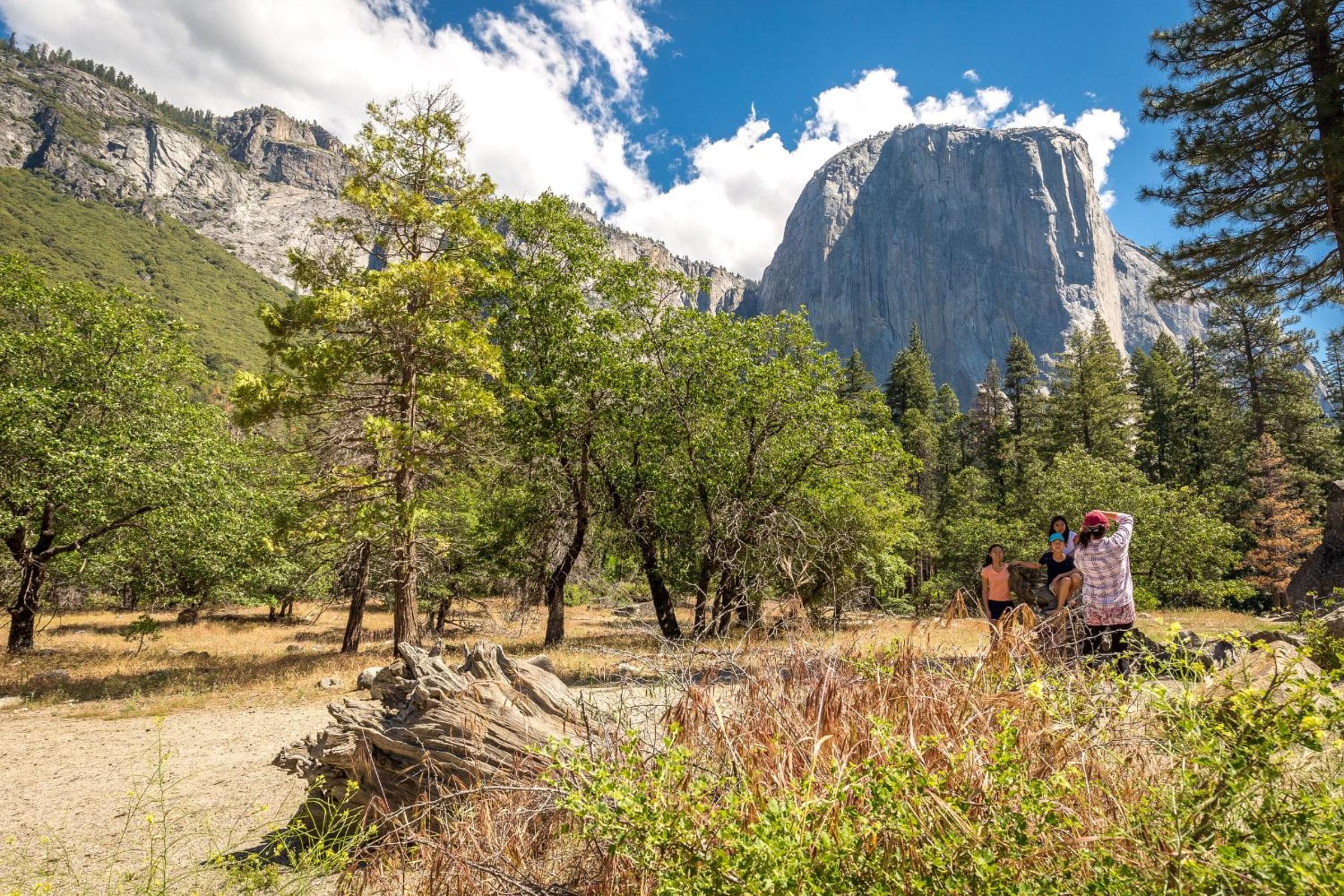 Evergreen Lodge at Yosemite