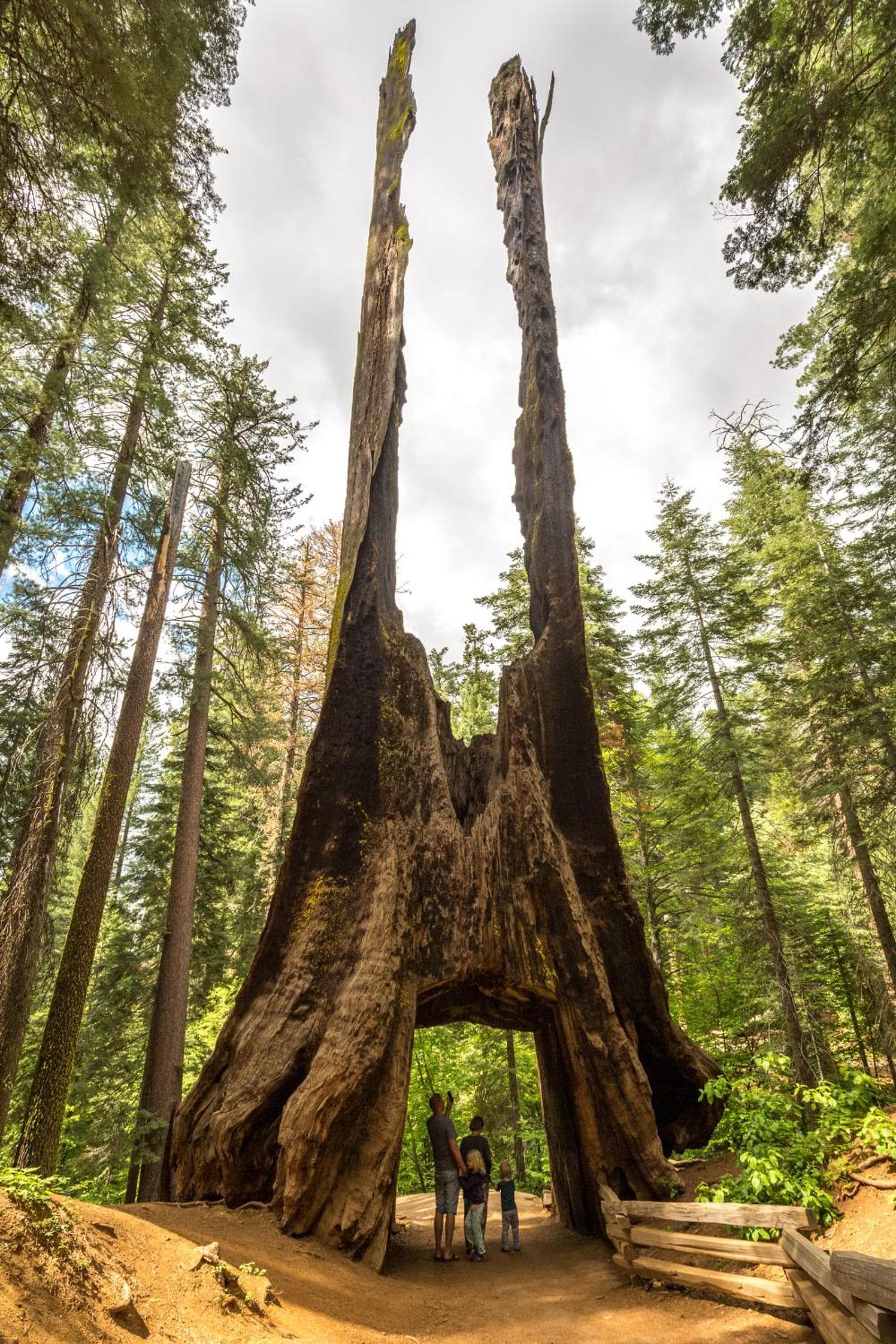Evergreen Lodge at Yosemite