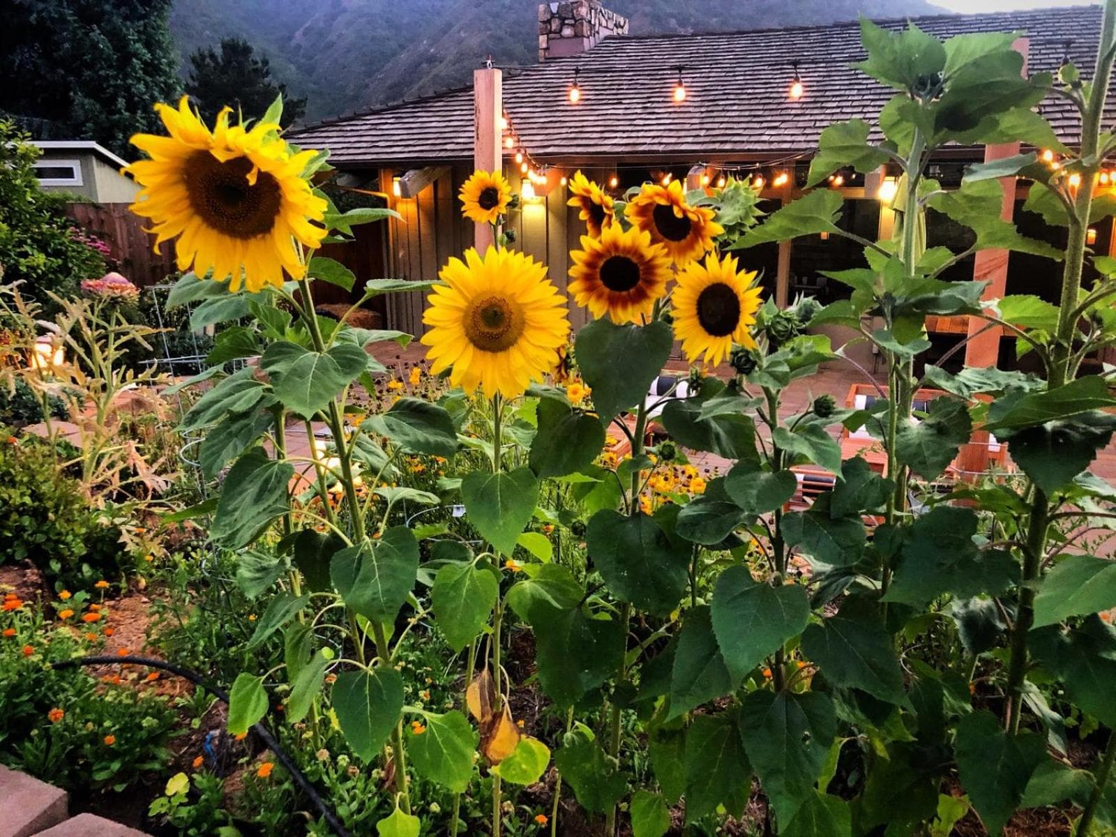 Carmel Valley Lodge
