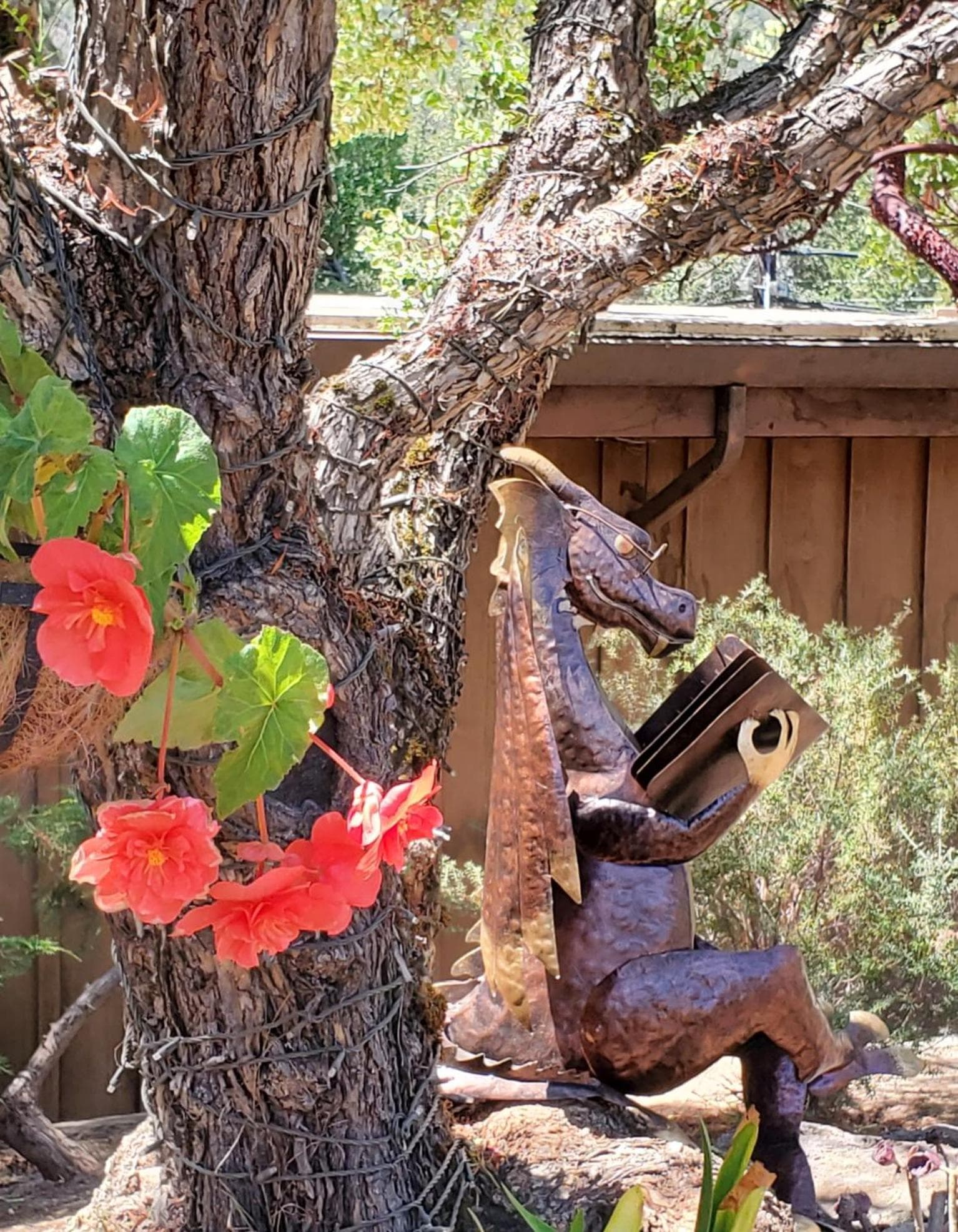 Carmel Valley Lodge