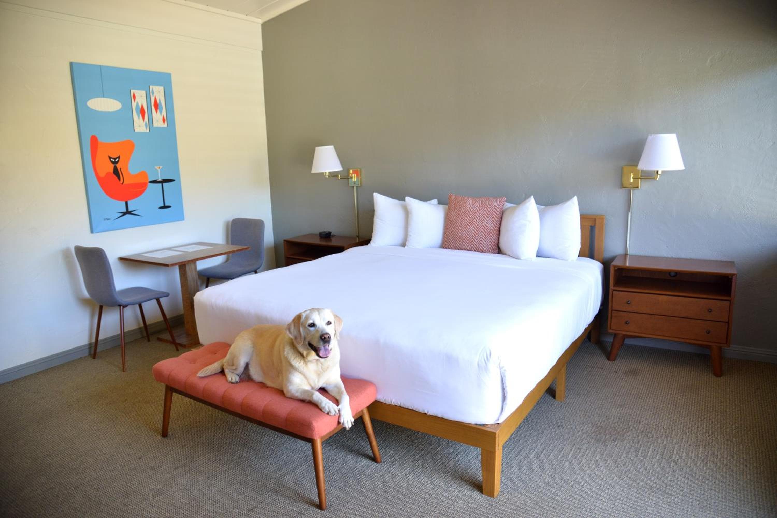 Contenta Inn