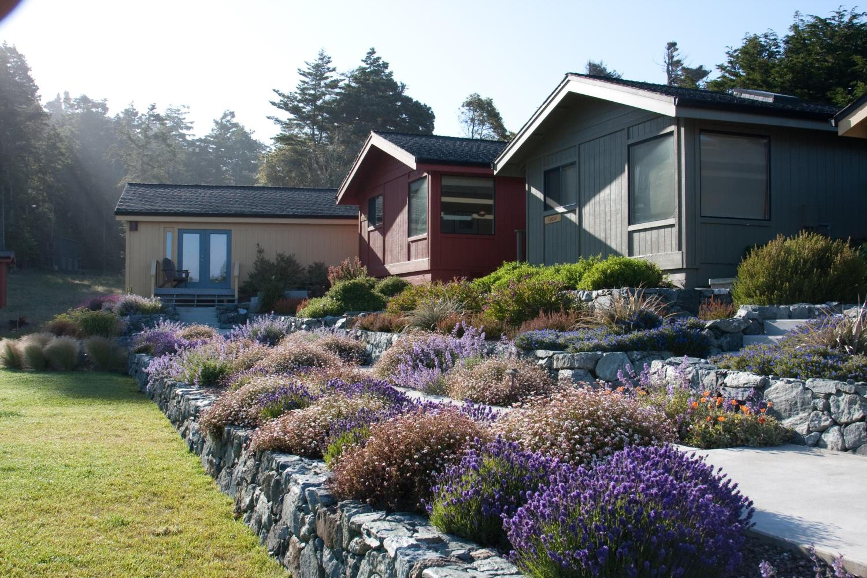 Cottages at Little River Cove